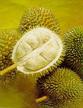 Picture of Durian