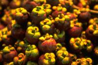 Picture of Mangosteen