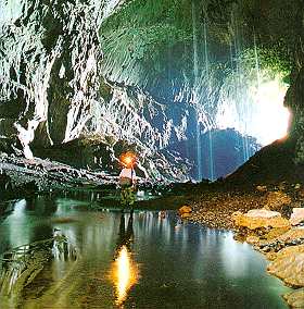 The Deer Cave located in the Mulu National Park